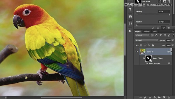 10款關于PS智能對象必須知道的事情