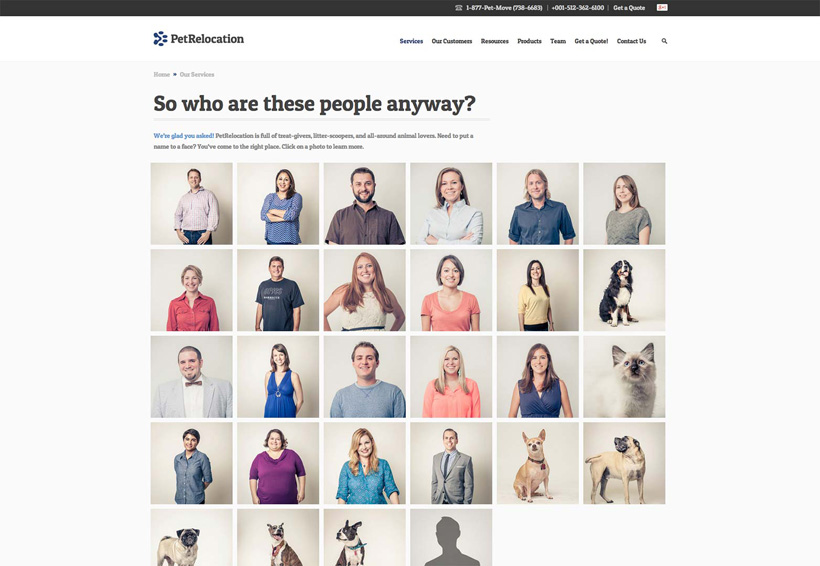 �W(w��ng)��O(sh��)Ӌ������ù��������Ñ�