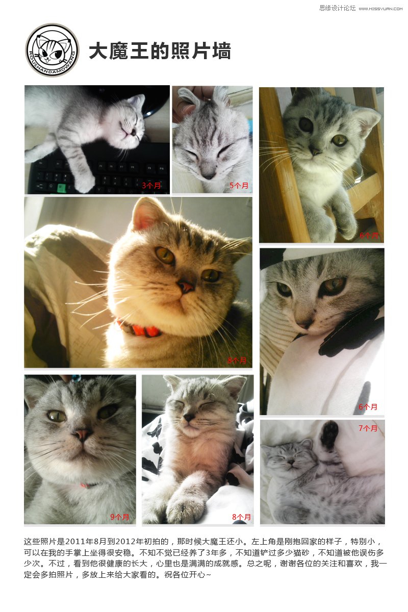 CorelDRAW���ν�Bʸ���宋���L���^��