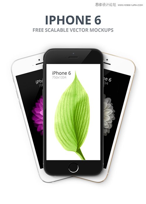 50��µ�iPhone6ԭ���ز����M���d