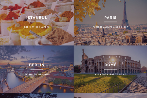 20���������`���o�OӋ�L��ľW퓰������p