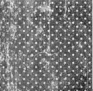 Photoshop�ϳɚW���L�j�U�����̳�