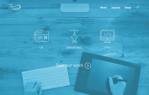 20��(g��)��(chu��ng)��Ĳ�ɫ�V���ھW(w��ng)��е�ʹ�÷���