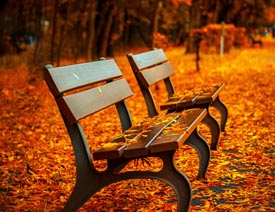 6�ДzӰ�����ĳ�����ĔzӰ��Ʒ