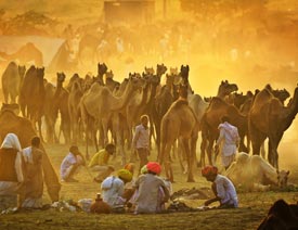 8��ԭ��ʹ�������Ƭ���������S����