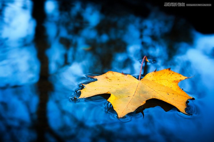 6�ДzӰ�����ĳ�����ĔzӰ��Ʒ