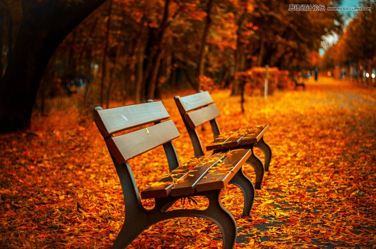 6�ДzӰ�����ĳ�����ĔzӰ��Ʒ