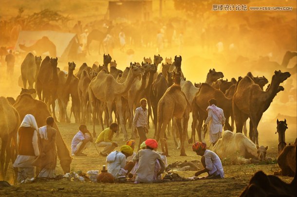 8個原因使得你的照片看起來像隨手拍