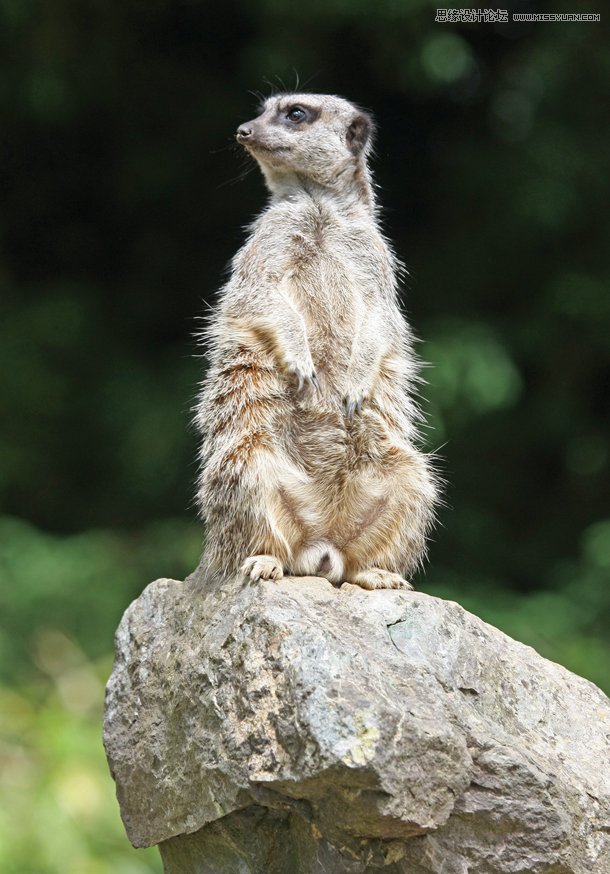 8個原因使得你的照片看起來像隨手拍