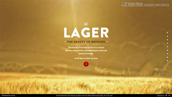 20款以細(xì)膩動(dòng)畫取勝的國(guó)外網(wǎng)頁設(shè)計(jì)欣賞