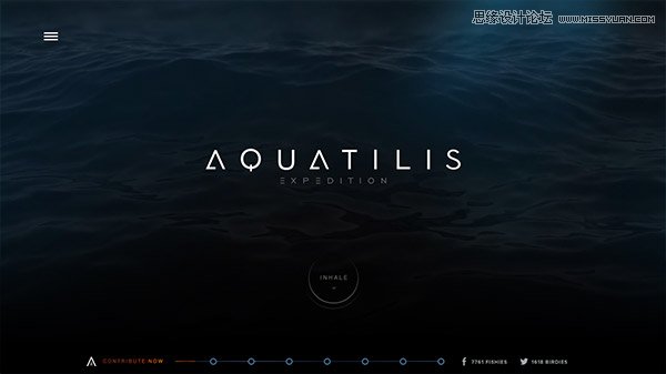 20款以細(xì)膩動(dòng)畫取勝的國(guó)外網(wǎng)頁設(shè)計(jì)欣賞