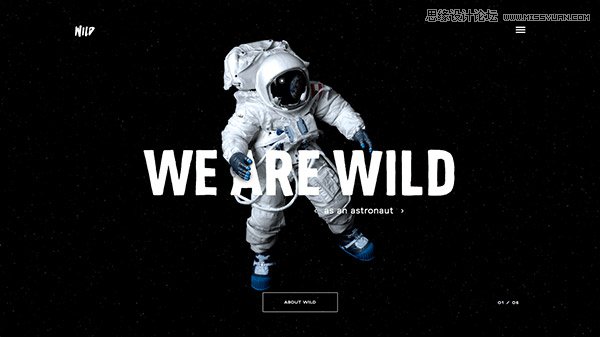 20款以細(xì)膩動(dòng)畫取勝的國(guó)外網(wǎng)頁設(shè)計(jì)欣賞