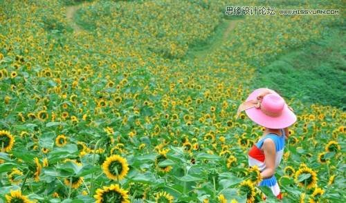 7招實用的攝影技巧助您快速學會攝影