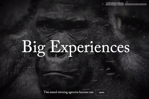 Ԕ������2015��W��OӋڅ���A�y