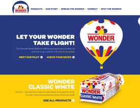 4���ǳ����õľW��OӋ���D�ĵü���