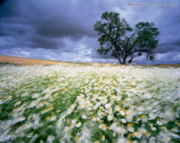 �\Մ�zӰ��Ʒ��ʲô�����w�F�����ߵĹ���