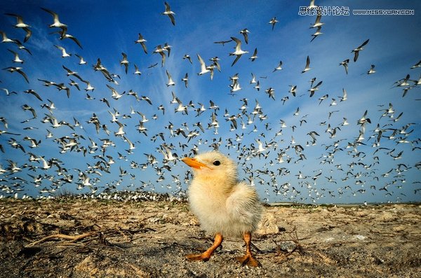 �\Մ�zӰ��Ʒ��ʲô�����w�F�����ߵĹ���