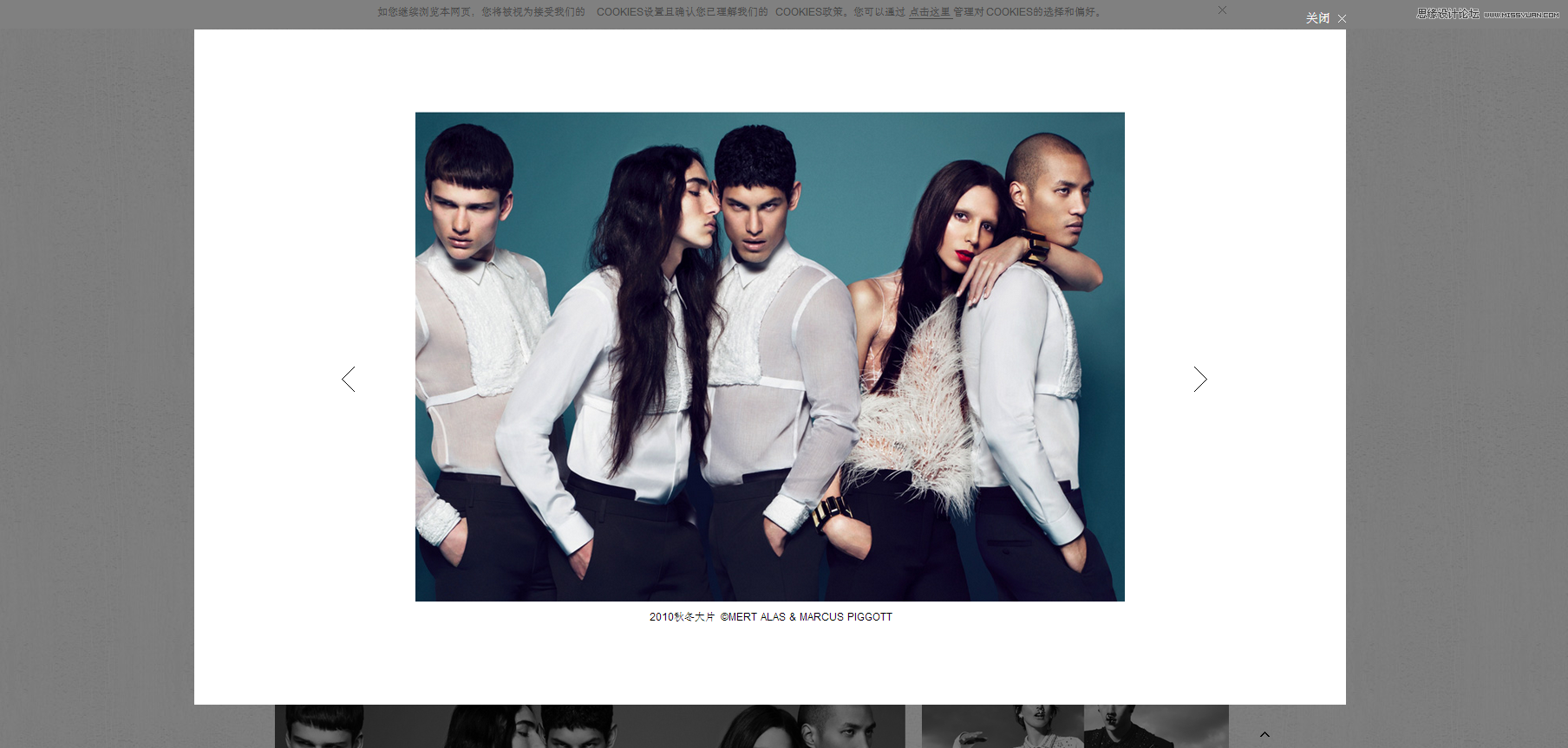 淺談知名國際品牌化妝品網站設計解析