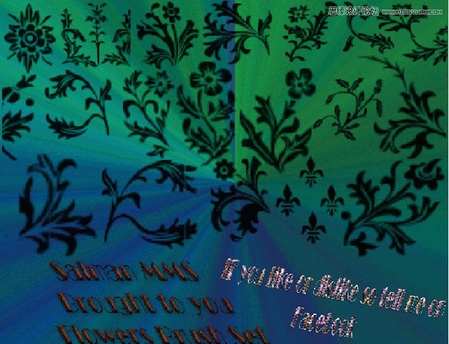 ����Ļ��仨�ܵ�ֲ��Pˢ