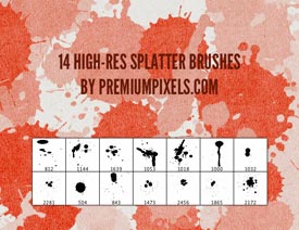 14����������Rī�E�Pˢ