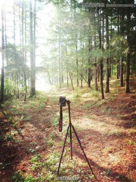 Ԕ������һ�������Б�ԓ��������