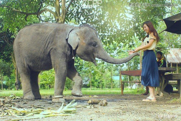 Ԕ������һ�������Б�ԓ��������