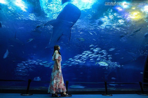 Ԕ������һ�������Б�ԓ��������