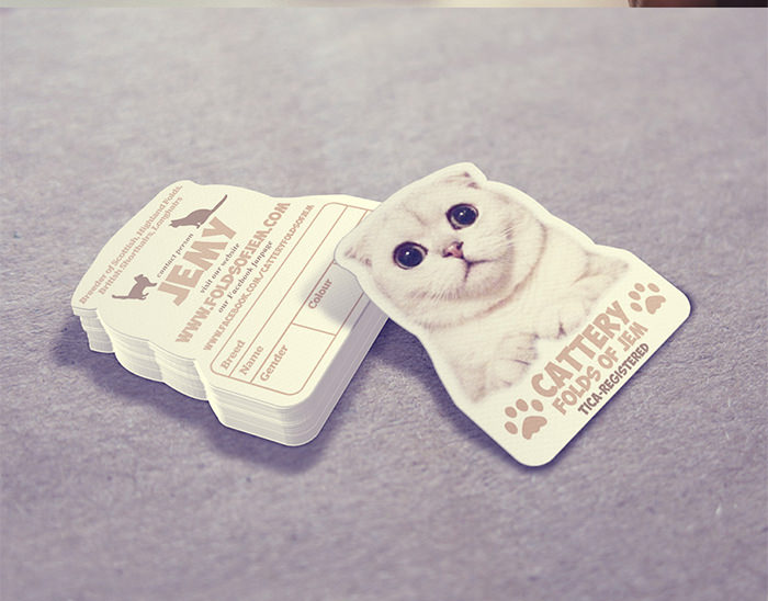 70����ℓ(chu��ng)�⎛�����Ƭ�O(sh��)Ӌ���p