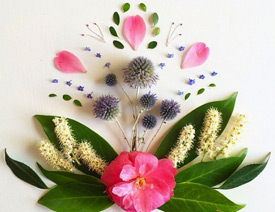 �Ի�����ľ�����}�Ą�����Ʒ���p