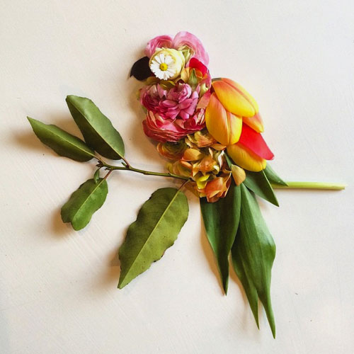 �Ի�����ľ�����}�Ą�����Ʒ���p