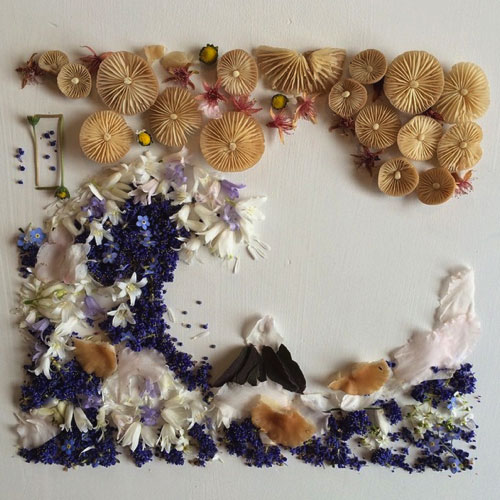 �Ի�����ľ�����}�Ą�����Ʒ���p