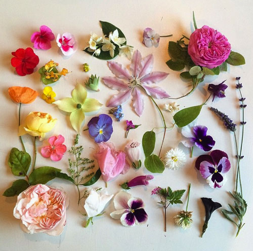 �Ի�����ľ�����}�Ą�(chu��ng)����Ʒ���p