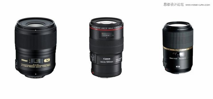 新手必學(xué)的微距攝影入門知識(shí)和技巧