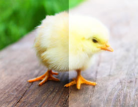 Ԕ������PS�г�Ҋ��ģ��Ч��ȫ����