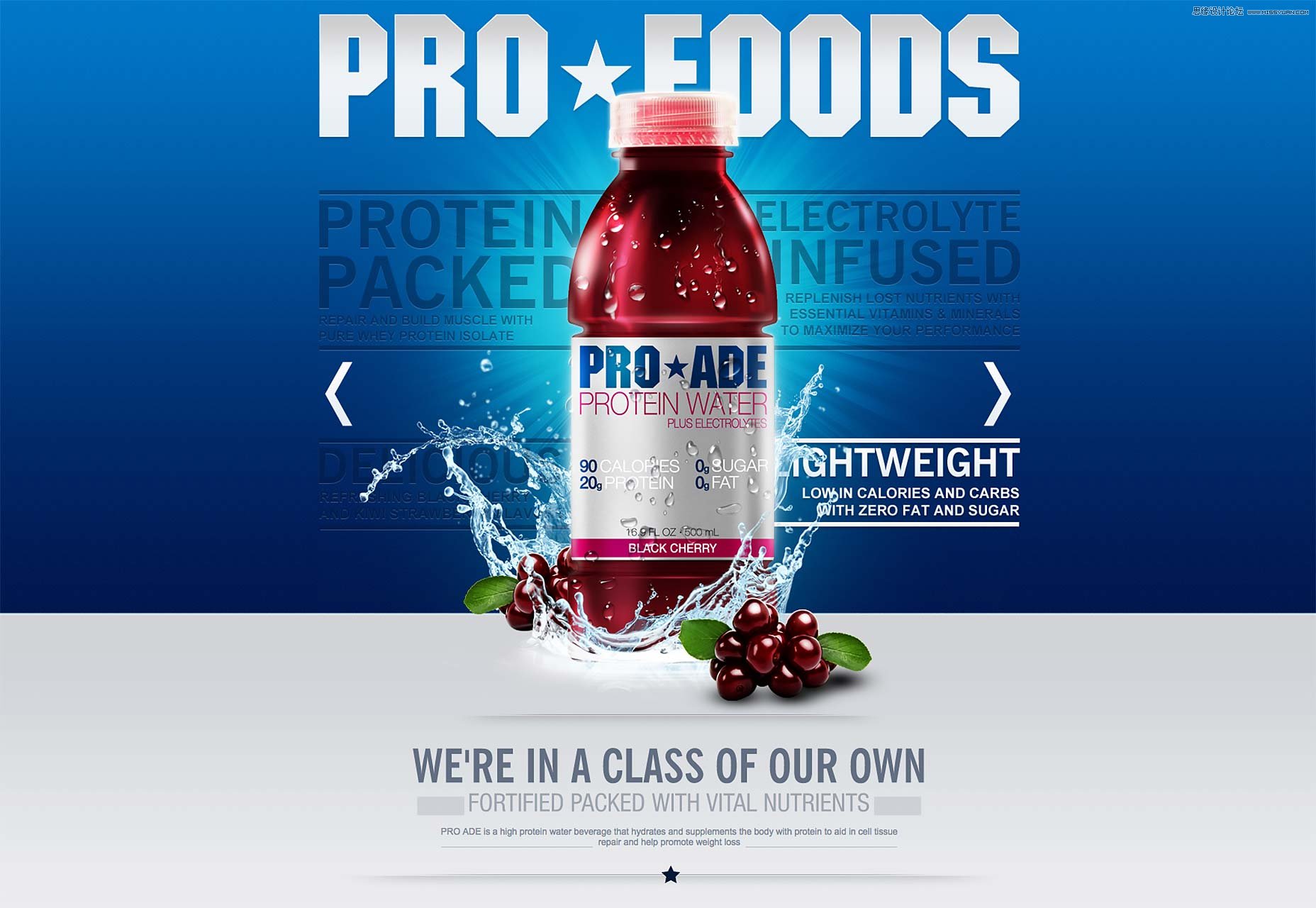 詳細解析超實用的網頁動畫終極指南