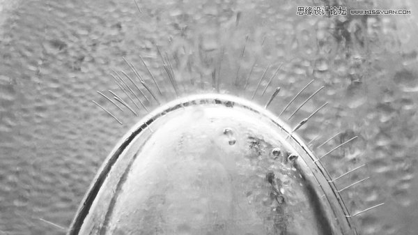 ������ο��ٵ�����֙C�zӰˮƽ