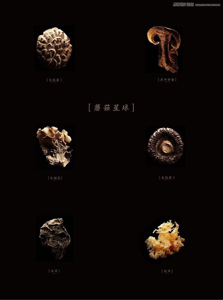 Ԕ��(x��)�����Ĕz�Ƹ������ʳ�zӰ��Ʒ