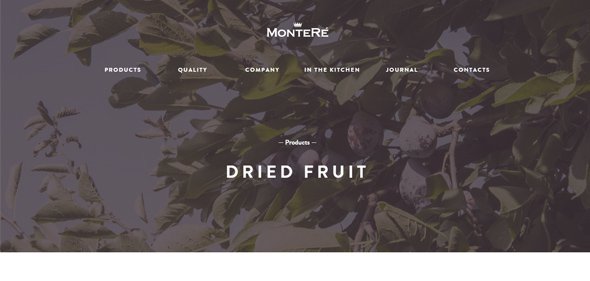 20個國外品牌電子商務網站設計欣賞