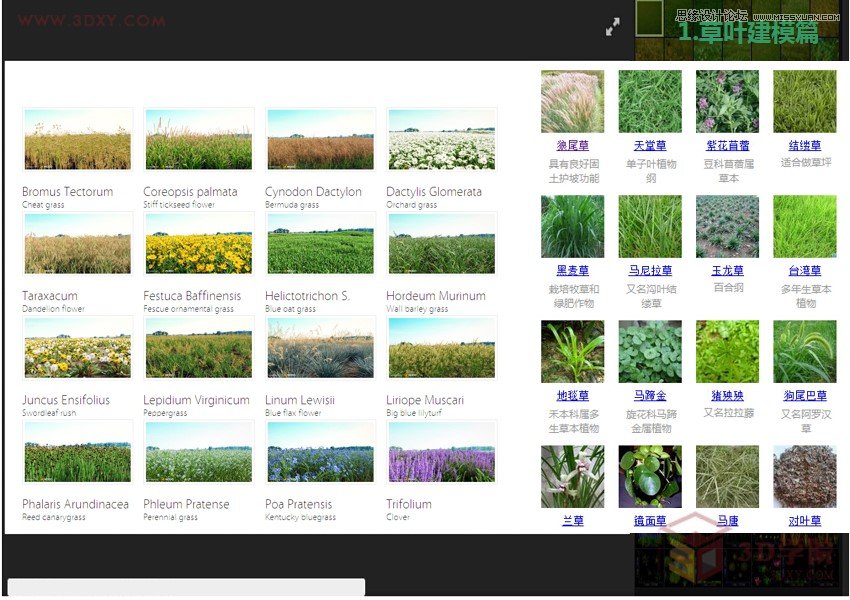 3DMAX詳細解析真實草地效果圖制作教程