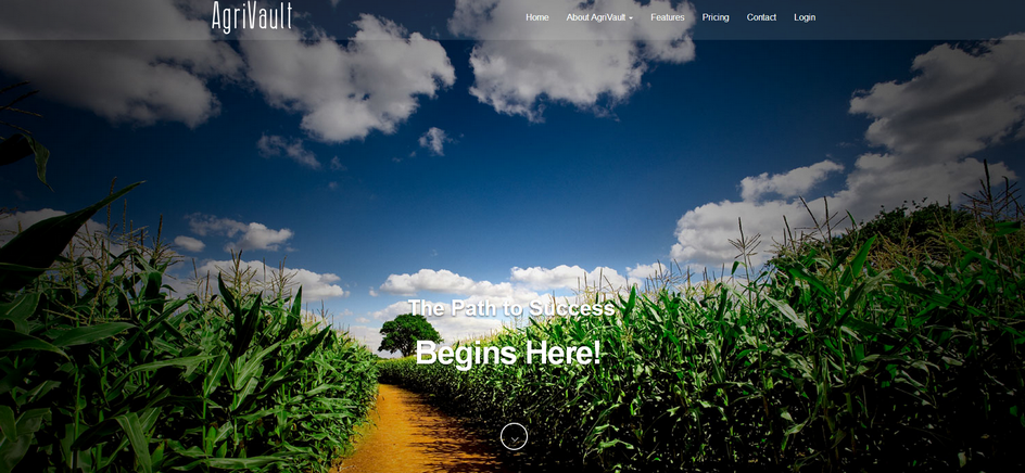 精選自然風(fēng)光大圖做背景的網(wǎng)頁設(shè)計(jì)欣賞