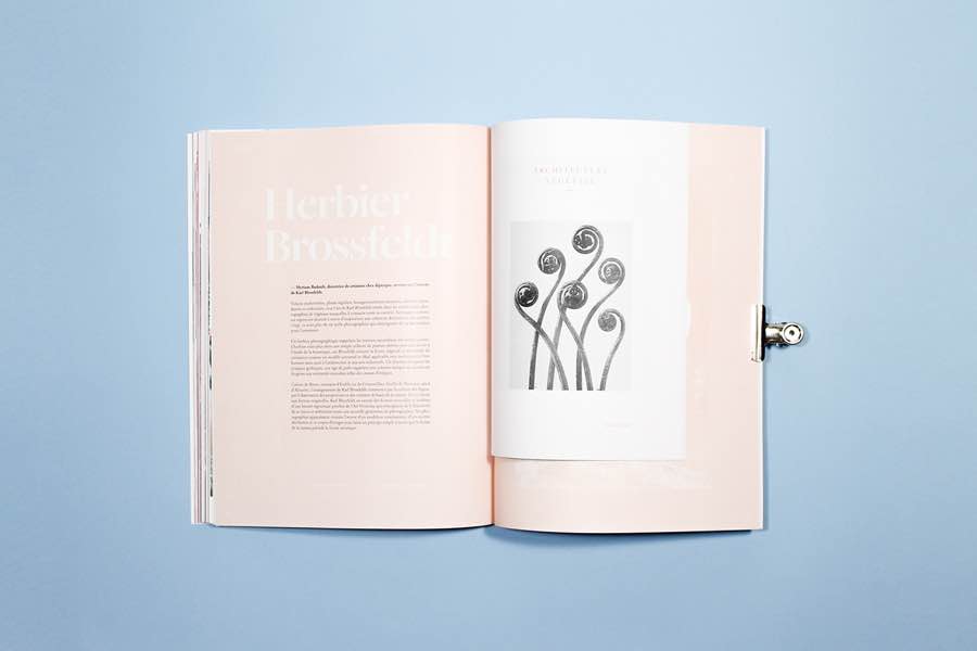 ���x���⃞��lode�s־�����OӋ���p