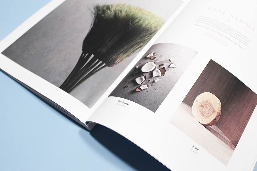 ���x���⃞��lode�s־�����OӋ���p