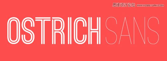 Ostrich Sans 23款國外優秀時尚的頂尖英文字體打包下載