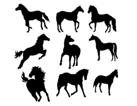 ���N�E�R��ӰЧ��PS�Π�