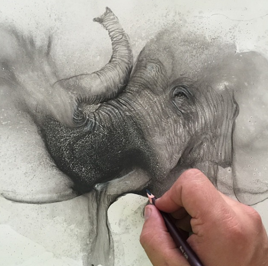 Glen Ronald�宋�OӋ��ˮī�L��Ʒ�OӋ���p