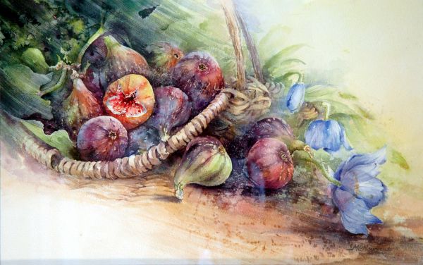 Marie Claire Moudru�����L���OӋ���p