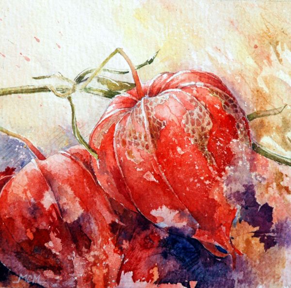 Marie Claire Moudru�����L���OӋ���p