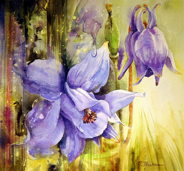 Marie Claire Moudru�����L���OӋ���p