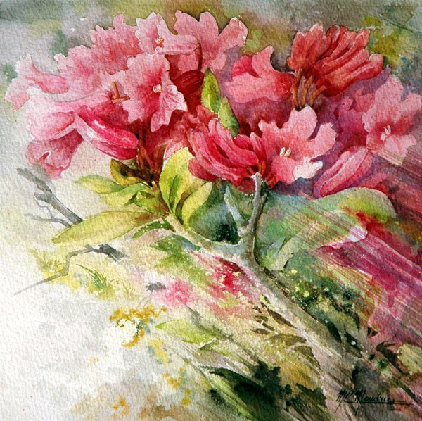 Marie Claire Moudru�����L���OӋ���p