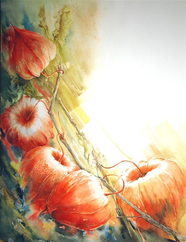 Marie Claire Moudru�����L���OӋ���p